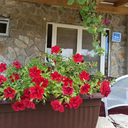 Mare Apartment Babin Dub Plocanski