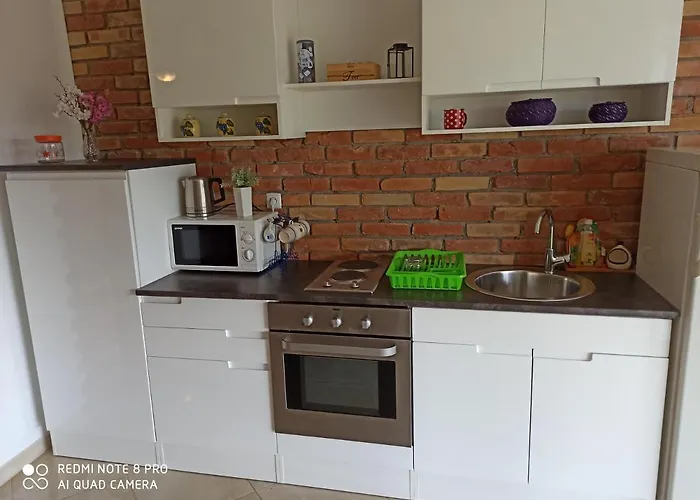 Mare Babin Dub Plocanski