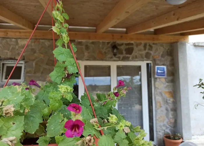 Mare Appartement