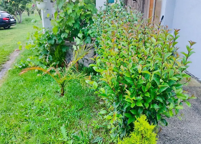 Mare * Babin Dub Plocanski