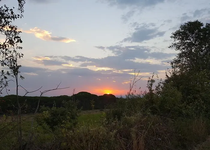 Mare דירה Babin Dub Plocanski