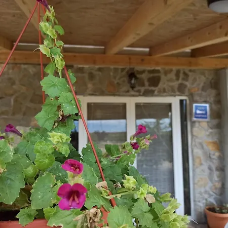 Mare Apartman