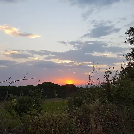 Mare Daire Babin Dub Plocanski